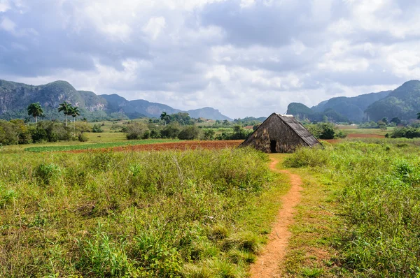 Małych hut w Vinales Valley, Kuba — Zdjęcie stockowe