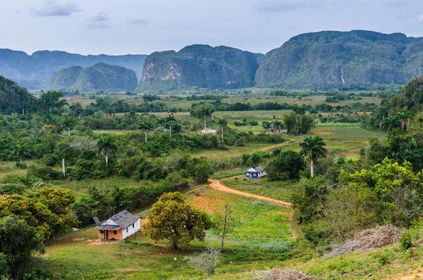 Panoramiczny widok w Vinales Valley, Kuba — Zdjęcie stockowe