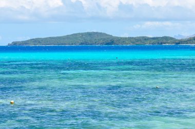 Colorful sea in Nacula Island in Fiji clipart