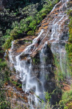 Wentworth Falls in Blue Mountains, Australia clipart