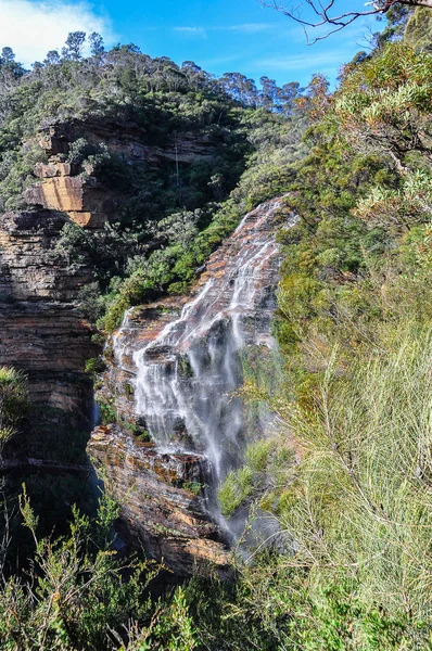 Wentworth fällt in blaue Berge, Australien — Stockfoto