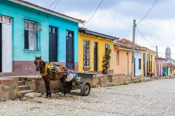 Trinidad, Küba'da at arabası — Stok fotoğraf