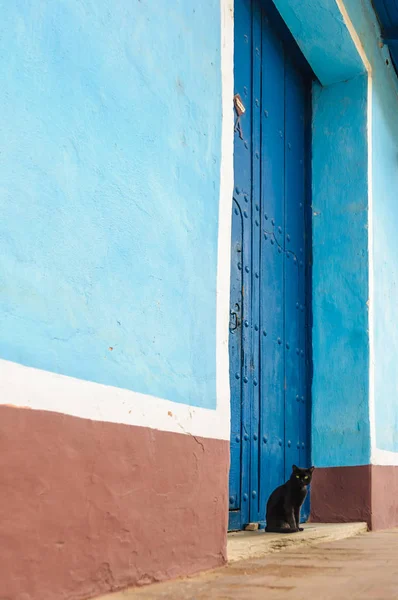 Gato frente a una puerta azul en Trinidad, Cuba — Foto de Stock