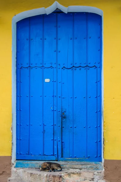 Perro durmiendo frente a la puerta azul en Trinidad, Cuba — Foto de Stock