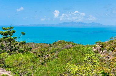Orman ve okyanus Magnetic Island, Avustralya