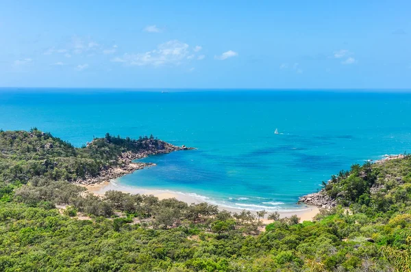 Magnetic Island, Avustralya Floransa koyu Görünümü Kapat — Stok fotoğraf