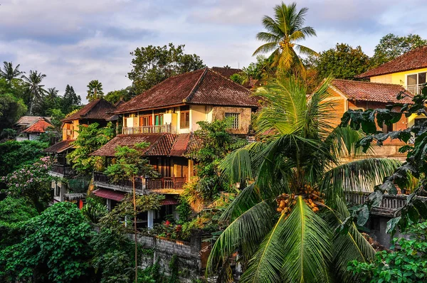 Häuser im tropischen Wald in ubud, bali — Stockfoto