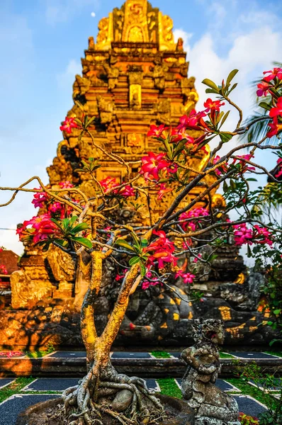 ดอกไม้สีชมพูในวัดซาราซาวะ ในอุบูด ประเทศบาหลี — ภาพถ่ายสต็อก