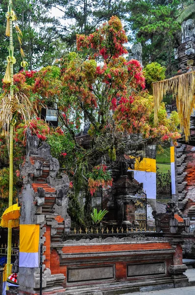 Πολύχρωμο δέντρο σε Tirta Empul ναός, Μπαλί, Ινδονησία — Φωτογραφία Αρχείου
