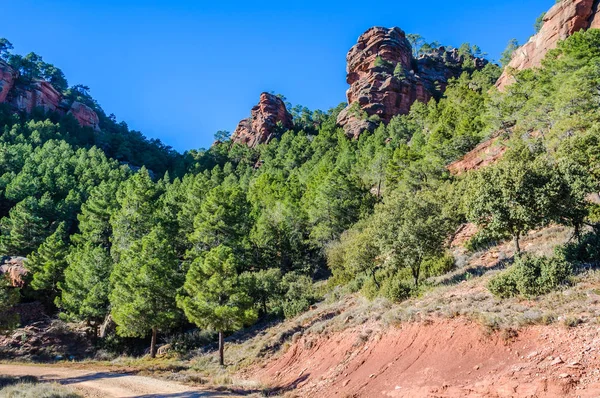 Kırmızı kayalar Pinares del Rodeno Tabiat Parkı, İspanya
