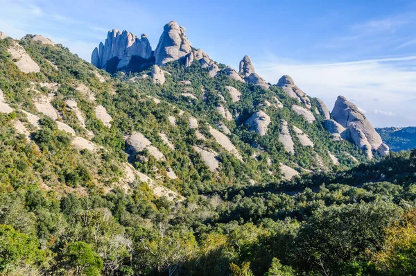 Skály v lese v hora Montserrat, Španělsko — Stock fotografie