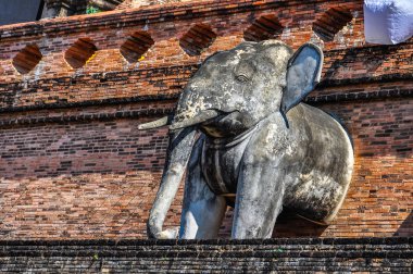 Elephants in Wat Chedi Luang in Chiang Mai, Thailand