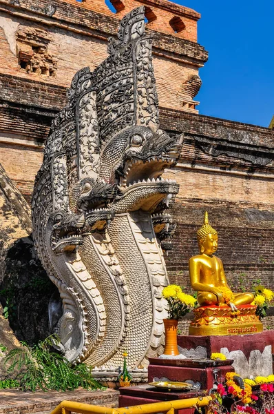 Wat Chedi Luang n Chiang Mai, Thailand — 图库照片