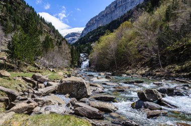 Ordesa Vadisi, Aragon, İspanya'da akan nehir