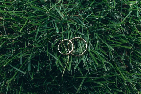 Goldene Ringe Von Frischvermählten Auf Dem Gras — Stockfoto