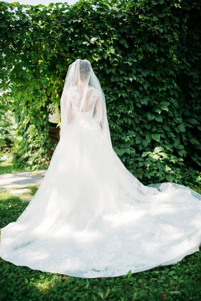 Buongiorno Della Sposa Preparare Sposa Prossimo Matrimonio — Foto Stock