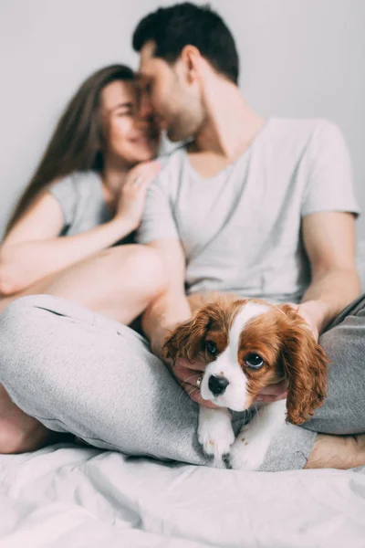 一个男人和一个女孩在舒适的家庭环境中的照片会议 一个家庭成员是一只小狗 — 图库照片