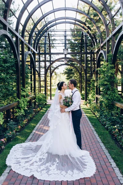 Caminhando Recém Casados Natureza — Fotografia de Stock