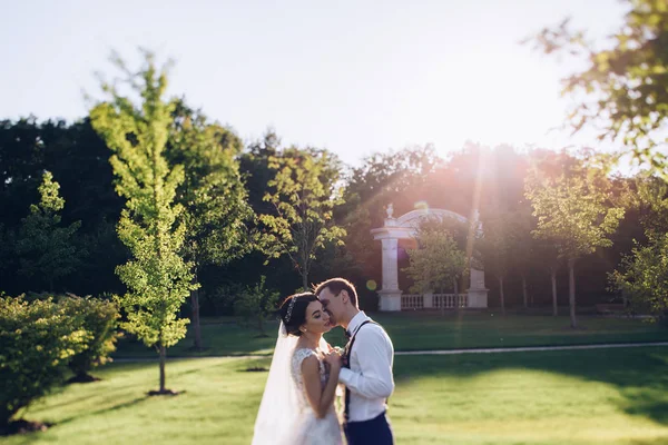 Caminhando Recém Casados Natureza — Fotografia de Stock