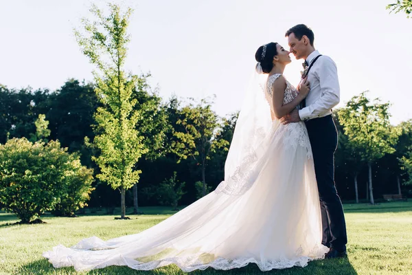 Caminhando Recém Casados Natureza — Fotografia de Stock