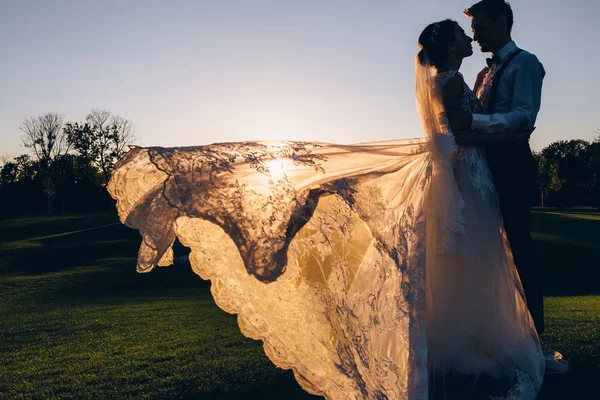 Passeio Verão Dos Recém Casados Natureza — Fotografia de Stock