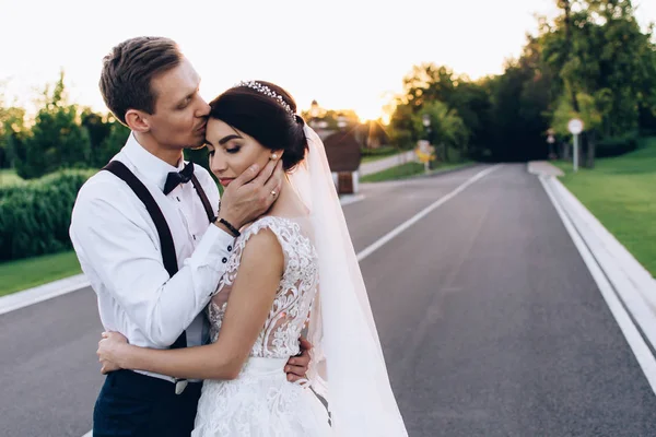 Summer Walk Newlyweds Nature — Stock Photo, Image