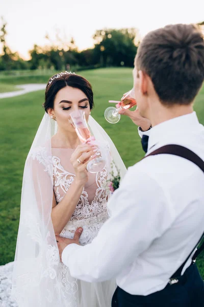 Summer Walk Newlyweds Nature — Stock Photo, Image