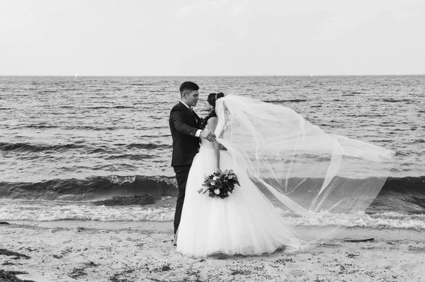 Novomanželé Chůze Mořem — Stock fotografie