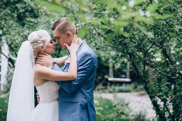 Caminhando Recém Casados Natureza — Fotografia de Stock