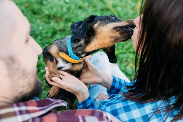 Promenez Gars Une Fille Avec Chien Dans Forêt Bord Lac — Photo