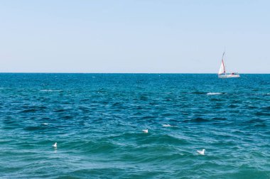 Deniz manzarası. Deniz günbatımı.