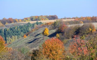 Sonbahar manzara, ağaçlar güzellik
