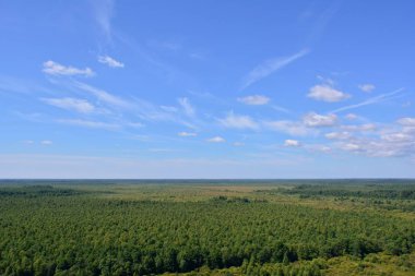 Tayga görünümü havadan görünümü