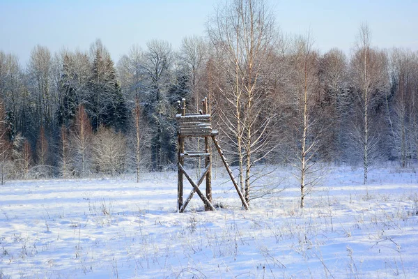 Κυνηγετικό πύργο στο χειμερινό δάσος — Φωτογραφία Αρχείου