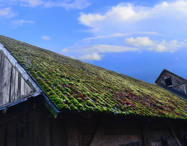 Oud dak met mos in de herfst — Stockfoto