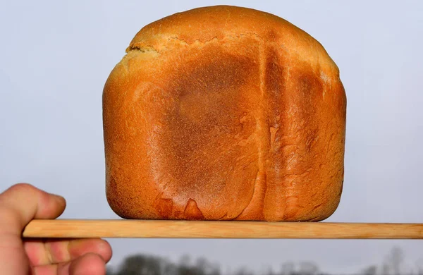 Pão fresco assado no tabuleiro — Fotografia de Stock