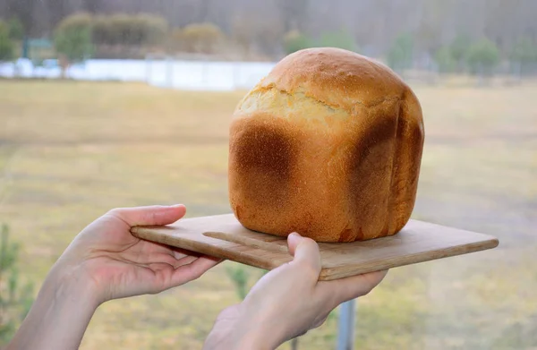 Pão fresco assado no tabuleiro — Fotografia de Stock