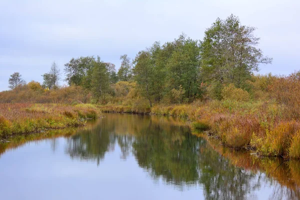 Reflection of trees in river in autumn — Stock Photo, Image