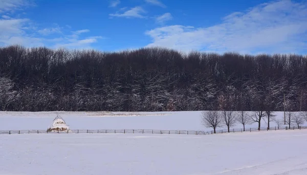 Pilha Feno Campo Nevado Janeiro — Fotografia de Stock