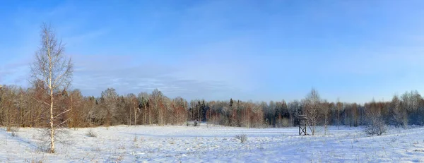 冬季森林全景 有一座狩猎塔 — 图库照片