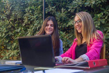 Genç güzel girişimciler ile bir dizüstü bilgisayar çalışma.