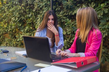 Genç güzel girişimciler ile bir dizüstü bilgisayar çalışma.