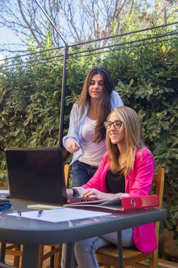 Genç güzel girişimciler ile bir dizüstü bilgisayar çalışma.