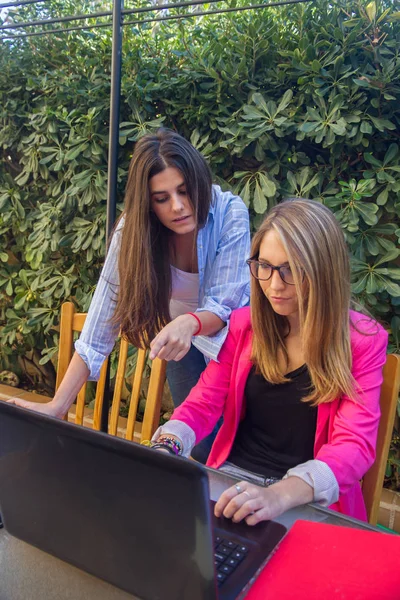 Young beautiful entrepreneurs working with a laptop.