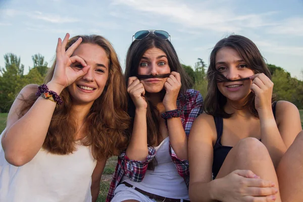 Chicas disfrutando haciendo el tonto en el parque. Están haciendo bromas y muecas disfrutando de las vacaciones. . — Foto de Stock