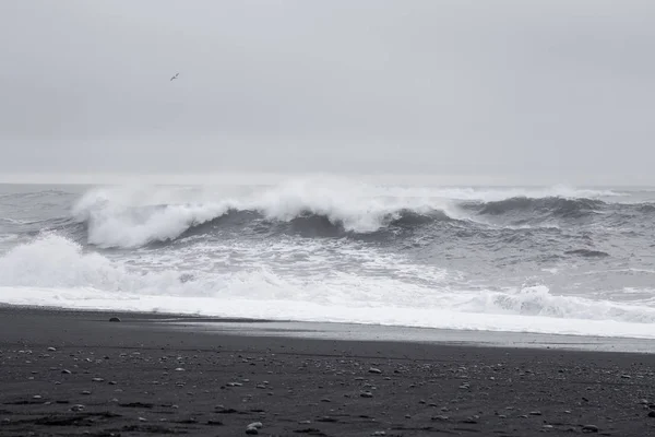 Vlny v černé písečné pláže na Islandu — Stock fotografie