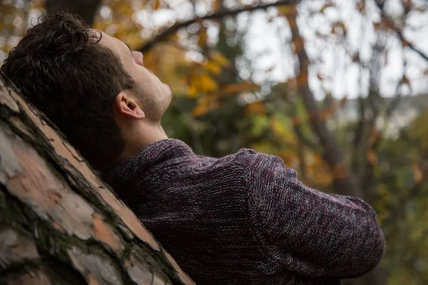 Ormanda ayakta ve bulutlu gökyüzü bakarken Ağaç gövdesinde eğilerek tanınmayan adam. 