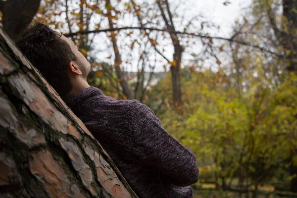 Ormanda ayakta ve bulutlu gökyüzü bakarken Ağaç gövdesinde eğilerek tanınmayan adam. 