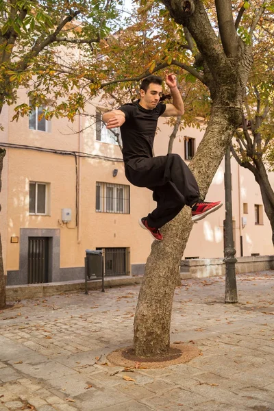 Young man doing an amazing parkour trick on a tree in the street.