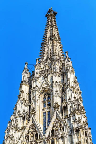 Détail Cathédrale Saint-Étienne, Vienne. Autriche . — Photo